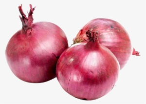 Onion Vegetables #295847