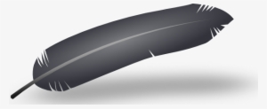 Black Feather Png Images #296292