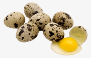 Quail Eggs Png - Quail Egg #296689