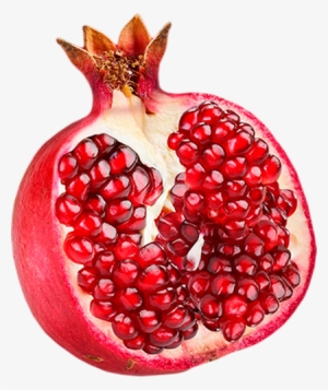 Pomegranate Png #297414