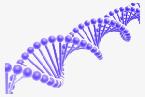 Dna #297469