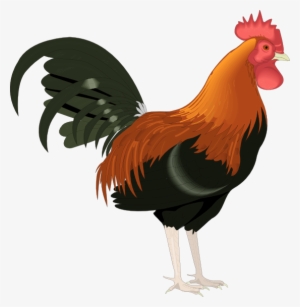 Hen Clipart 2 Chicken - Rooster Clipart #297744