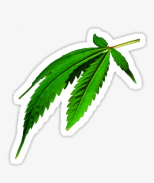 Red Weed Leaf Png - Marihuana Tapety Na Pulpit #298403