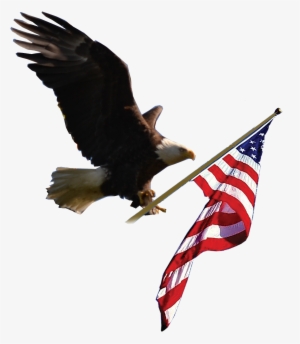 Logo - Eagle And Flag Png #298466