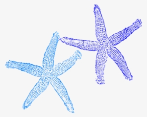 Blue Starfish Png - Blue Starfish Clip Art #298531