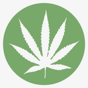 Marijuana - Marijuana Gold #299672