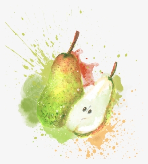 Centinella - Still Life Photography #299674