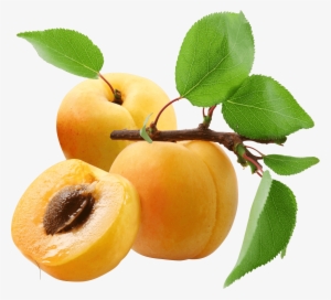 Three Peaches - Hugo Boss - Boss The Scent For Her Eau De Parfum 100ml #299861 Three Peaches - Hugo Boss - Boss The Scent For Her Eau De Parfum 100ml #299861