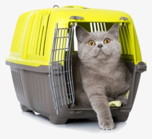 Transportín Gatos Vetplan Facebook - Transportin Gato #2900081