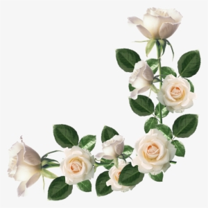 Rosas Diversas Png - Love Songs (columbia/legacy) #2901318