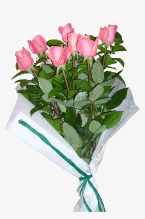 20 Rosas Côr De Rosa - Flower #2901361