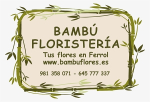 Tu Floristería Online En - Cut Flowers #2901422