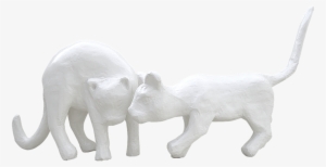 Plaster,white Cats,cats Plaster,white - White #2902622 Plaster,white Cats,cats Plaster,white - White #2902622