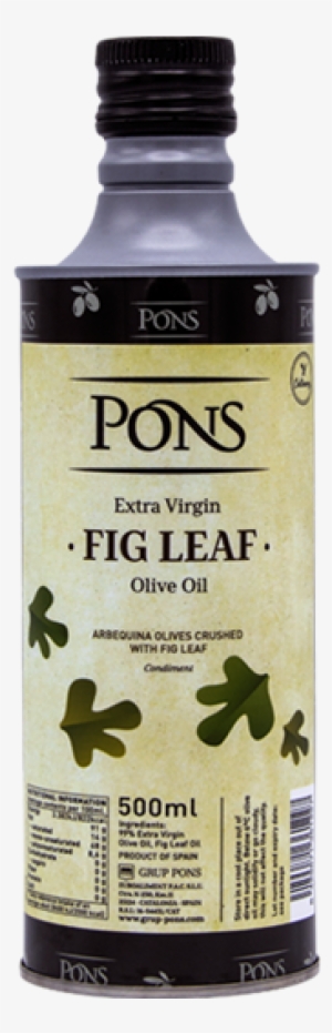 Culinary Fig Leaf - Fennel #2903563