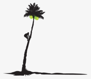 2016 Purity Organic, Llc 1625 Bush Street Suite 3, - Purity Organic Coconut Water - 33.8 Fl Oz Carton #2903725