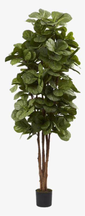 Fiddle Leaf Fig Tree - Nearly Natural 5346 Fiddle Leaf Fig Tree, 6-feet, Green #2903741