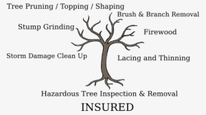 Tree Service - Tree With Roots And No Leaves #2903744