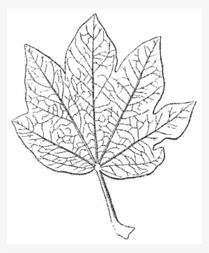 File - La Nature - 1877 - S2 - P124 - Les Périodes - Line Art #2903775