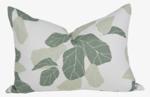 Fiddle Leaf Fig #2903778 Fiddle Leaf Fig #2903778