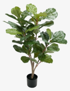 Plant Fiddle-leaf Fig - Konstgjord Fiolfikus #2903805 Plant Fiddle-leaf Fig - Konstgjord Fiolfikus #2903805