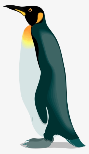 The Emperor Penguins Gentoo Penguin - Penguin Clipart Realistic #2903894