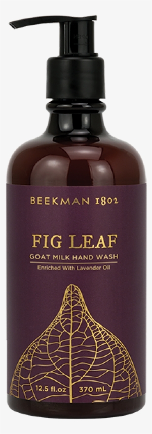 Fig Leaf Hand Wash - Beekman 1802 Llc #2903900