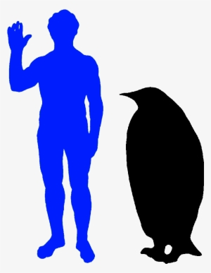 The Emperor Penguin Is The World's Biggest Penguin - Dromaeosaur Size #2904002