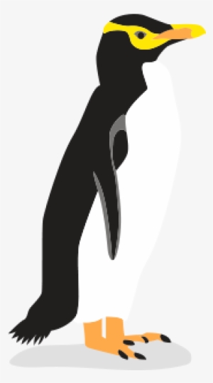 Yellow-eyed - Yellow Eyed Penguin Png #2904074