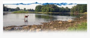 Toledo Waterways Initiative - Loch #2904136