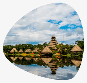 5 Days 4 Nights - Napo Wildlife Center Ecolodge #2904186