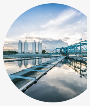 Areas Of Expertise #2904296