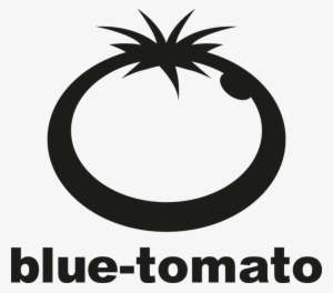 Square Outline - Logo Blue Tomato Png #2904325