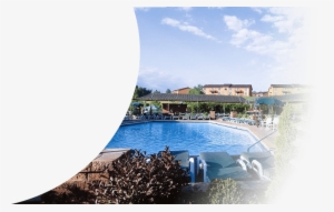 We Offer A Variety Of Different Music Venues - Villa Roma Zip Line #2904326