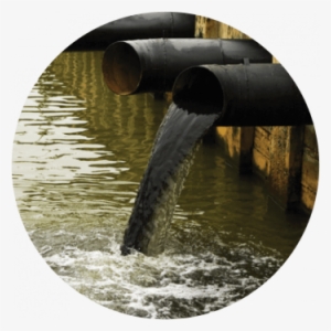 Drinking Water - Rapid #2904439