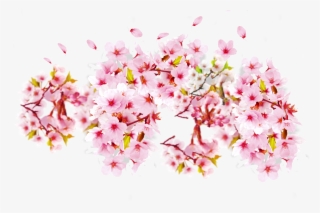 Diposting Oleh Bebas Terserahlu - Cherry Blossom #2904627
