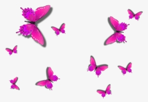 Borboleta Png Rosa - Imagens Borboletas Em Png #2904628