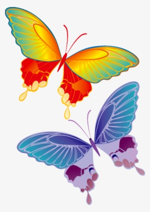 Borboletas Png - Real Colorful Butterfly Flying #2904783