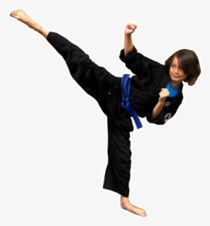 Martial Art Video Training #2905586