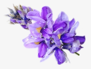 Healthy, Ageless Flourishing Is Now Possible - Artificial Flower #2906904