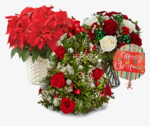 Christmas Gift Orders Accepting - Flowers Delivery - Red Roses & Fresh Greens - Christmas #2906931