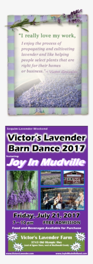 Lavender Workshops - Tableau De Jardin Lavande - 90x60 Cm #2907039