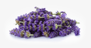 Lavender Png #2907466