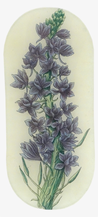 Lavender Stock Lavender Stock - Camas #2907626