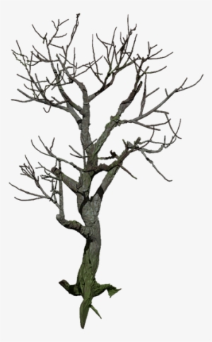 Tree, Isolated, Png, Digital Art, Mystical - Digital Art #2907877