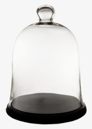 17 X 13 In - Cysexcel Glass Dome Terrarium Bell Cloche #2908269