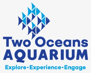 Area - History Two Oceans Aquarium Cape Town #2909228