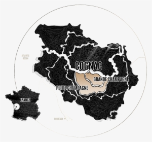 Solidarity And Long-term Vision, Both Within The Company - Jpeg #2909255