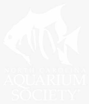 Crabby Joe's Tap & Grill #2909380