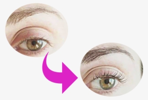 La Permanente De Pestañas - Eyelash Extensions #2909412