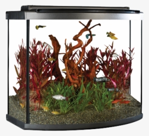 Ideal For The Beginner And Seasoned Aquarist, The 26 - Aquarium Fluval 26 Bow #2909444